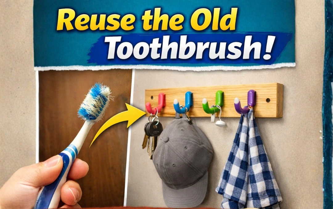 Reuse The Old Toothbrush! Create A Free Nice Hanger